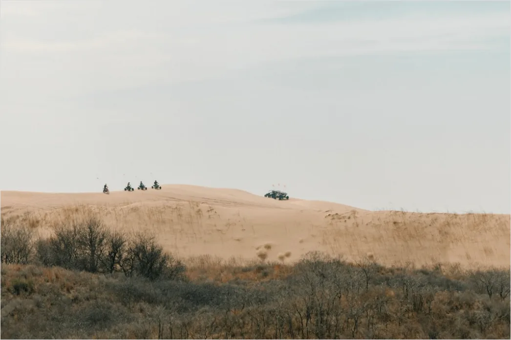 Detail Pickup Truck Off Road Desert Dunes Driving Number 15