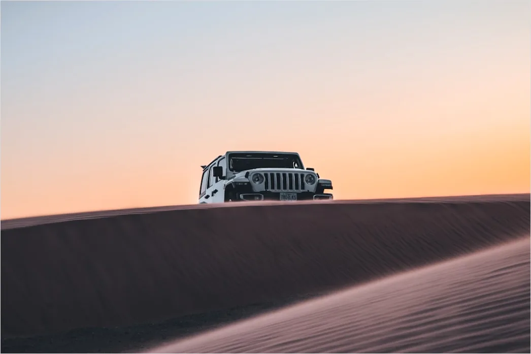 Detail Pickup Truck Off Road Desert Dunes Driving Number 16