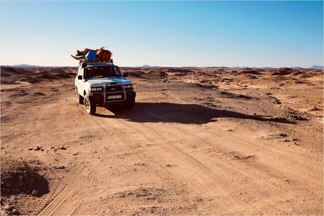 Detail Pickup Truck Off Road Desert Dunes Driving Number 19