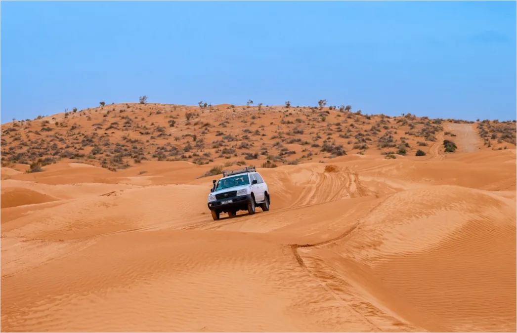 Detail Pickup Truck Off Road Desert Dunes Driving Number 20