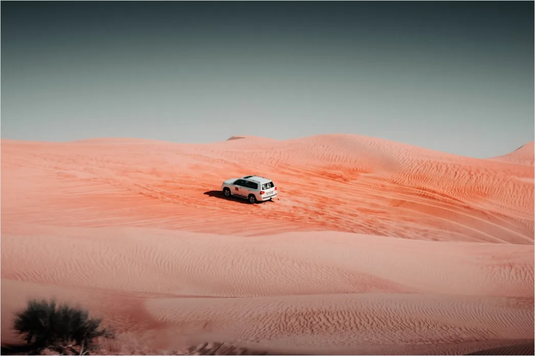 Detail Pickup Truck Off Road Desert Dunes Driving Number 9