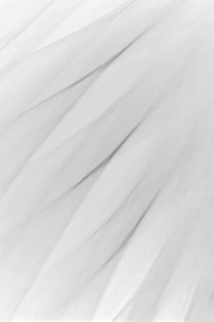 Detail Pinselstriche Abstrakt Monochrom Grau Hintergrund Number 8