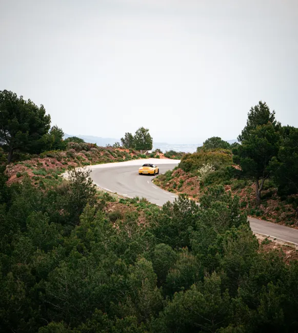 Detail Porsche 911 Classic On Winding Road Landscape Number 2