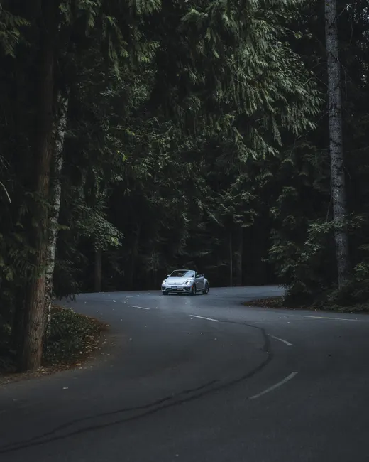 Detail Porsche 911 Classic On Winding Road Landscape Number 19