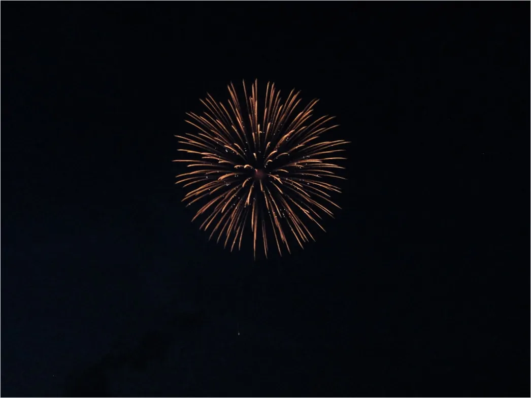 Detail Silvester Feuerwerk Nachthimmel Bunt Explosion Number 14