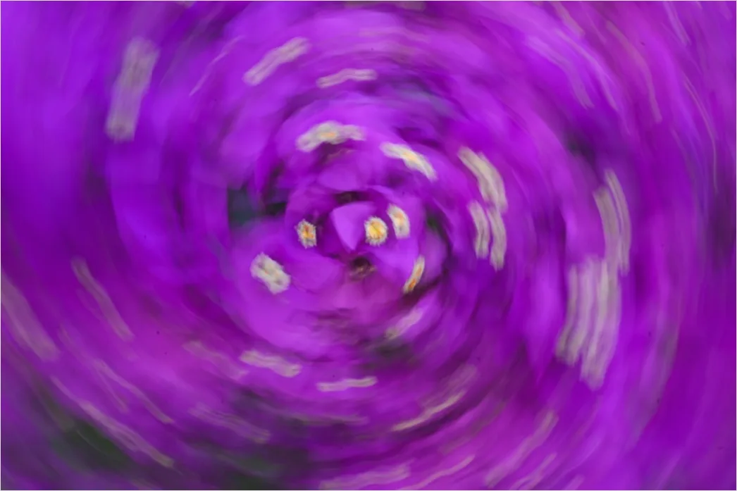 Detail Spirale Fraktal Abstrakt Hintergrund Dunkel Lila Number 18