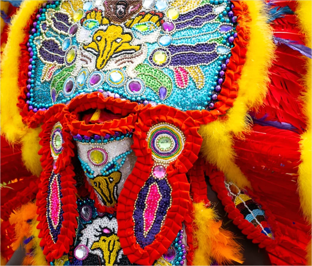 Traditional Ceremonial Dress Portrait Close Up Detail 9305