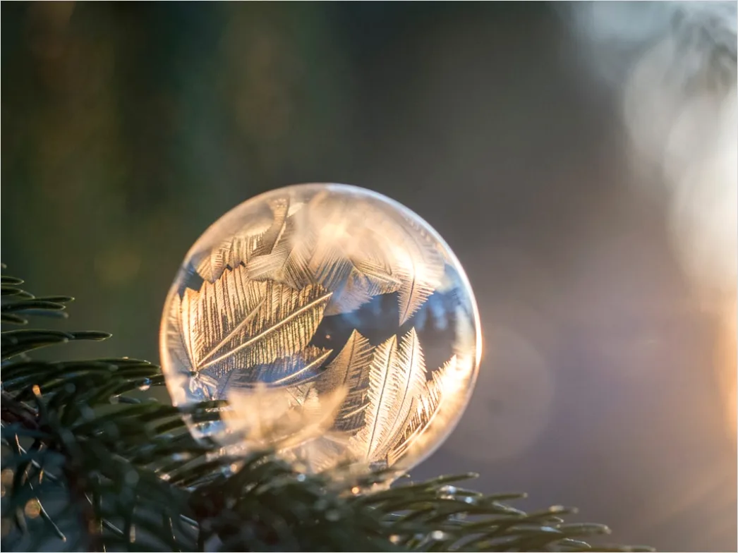 Detail Weihnachtsbaum Detail Kugeln Nahaufnahme Bokeh Number 11
