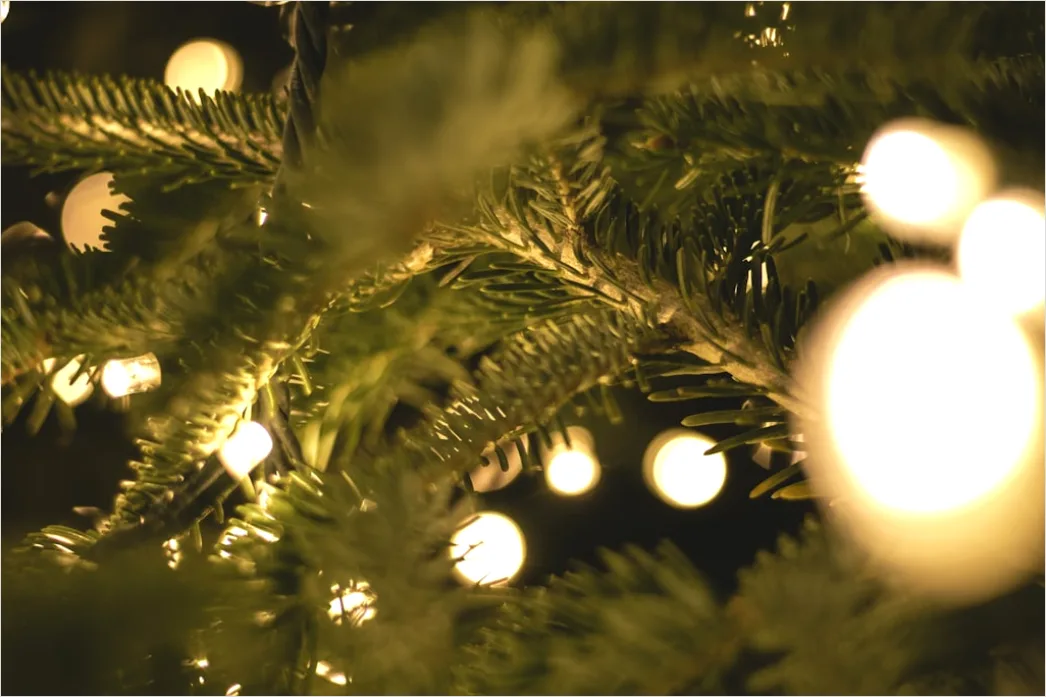 Detail Weihnachtsbaum Detail Kugeln Nahaufnahme Bokeh Number 12