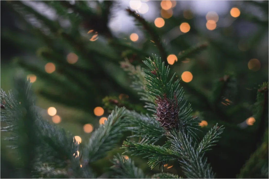 Detail Weihnachtsbaum Detail Kugeln Nahaufnahme Bokeh Number 3