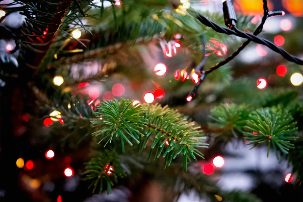 Detail Weihnachtsbaum Detail Kugeln Nahaufnahme Bokeh Number 5