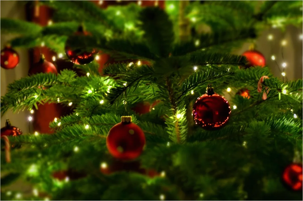 Detail Weihnachtsbaum Detail Kugeln Nahaufnahme Bokeh Number 6