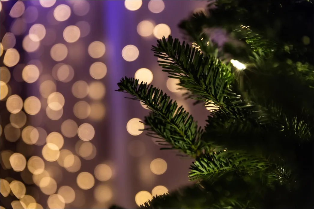 Detail Weihnachtsbaum Detail Kugeln Nahaufnahme Bokeh Number 8