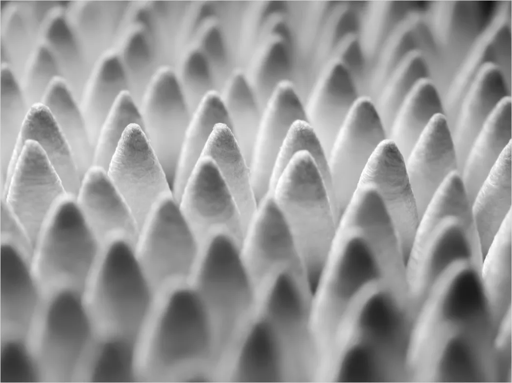 Detail 3d Druck Struktur Makro Nahaufnahme Number 13