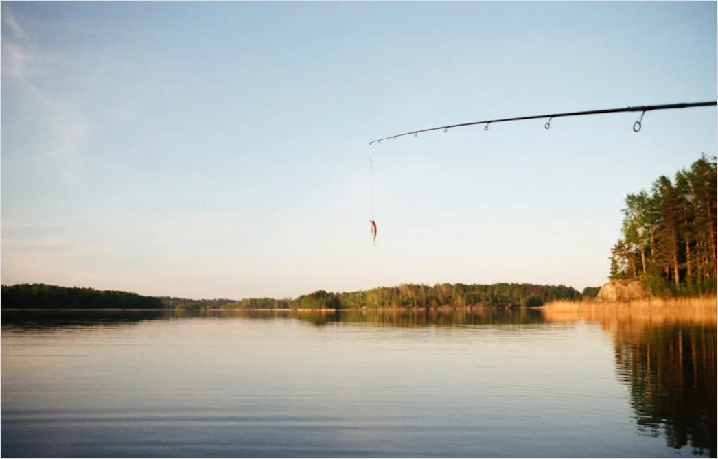 Adler Fischfang See Aktion Nahaufnahme 9d6f