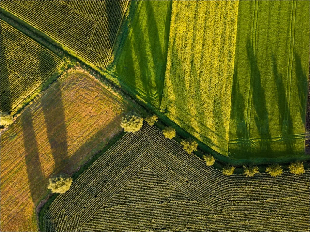 Agrarlandschaft Luftaufnahme Muster Felder 65c0