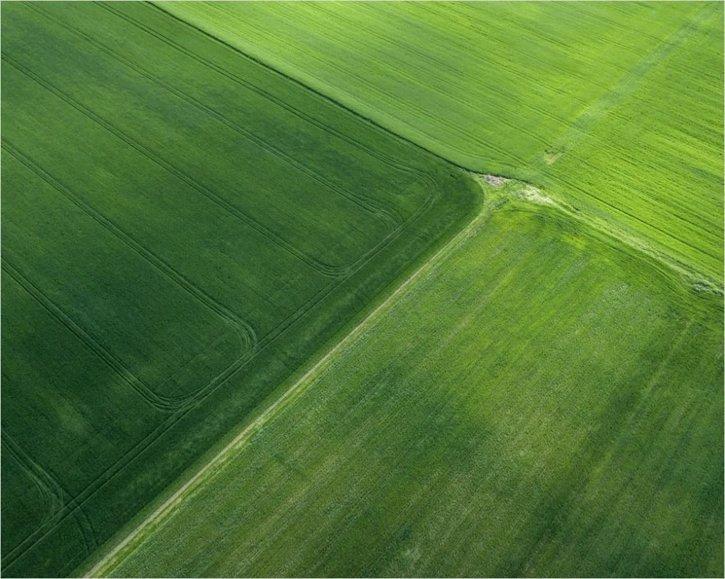 Detail Agrarlandschaft Luftaufnahme Muster Felder Number 12