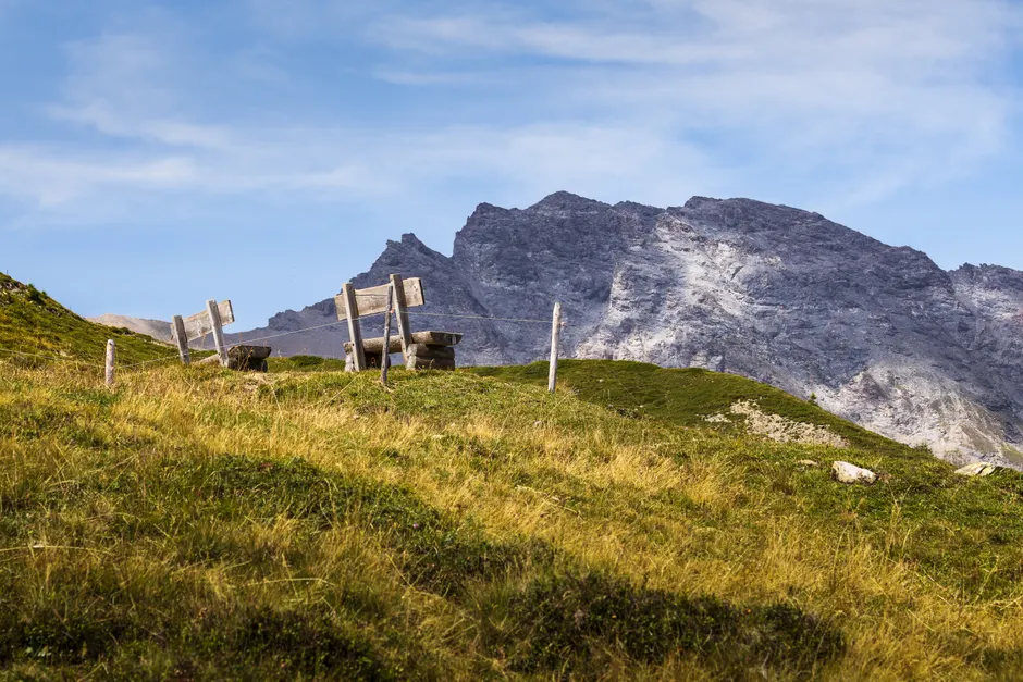 Alpenwiese Blumen Sommer Idyllisch 7236