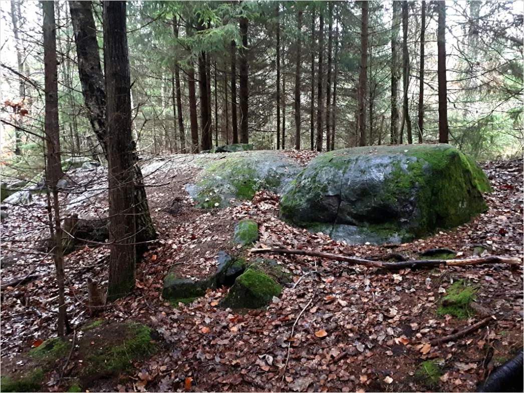 Detail Alter Wald Moos Felsen Mystisch Stimmung Number 8