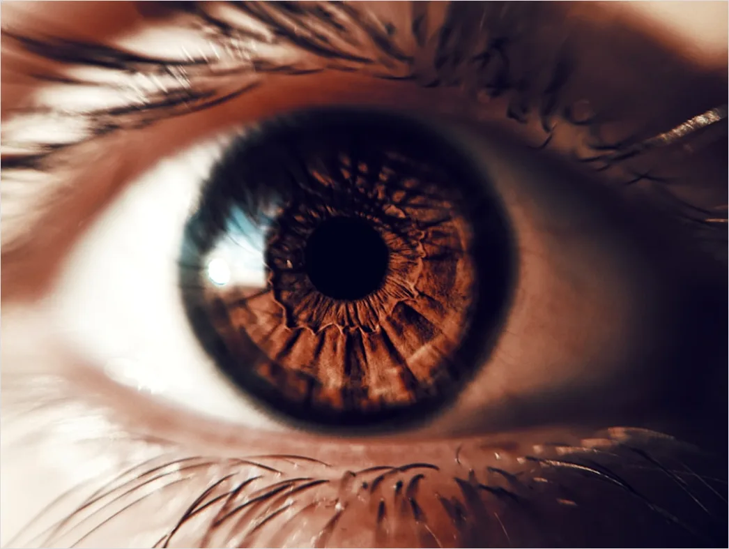 Detail Auge Makro Nahaufnahme Iris Detail Number 12