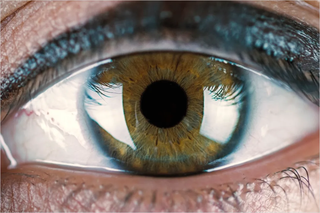 Detail Auge Makro Nahaufnahme Iris Detail Number 13