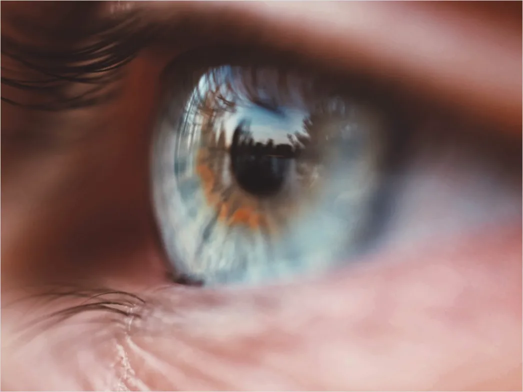 Detail Auge Makro Nahaufnahme Iris Detail Number 14