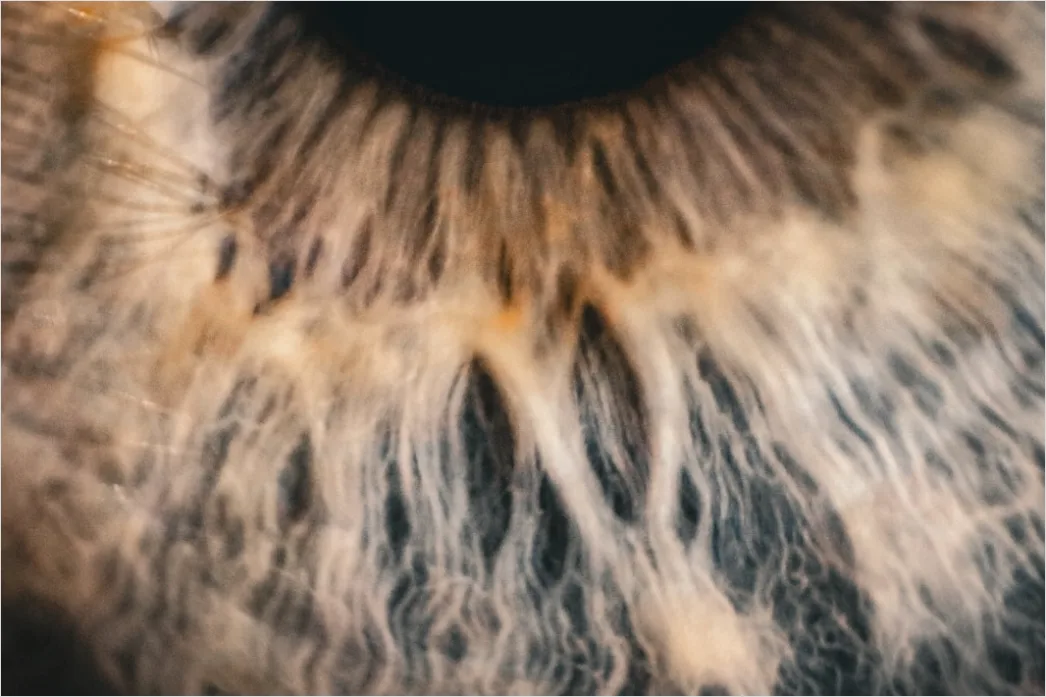 Detail Auge Makro Nahaufnahme Iris Detail Number 15