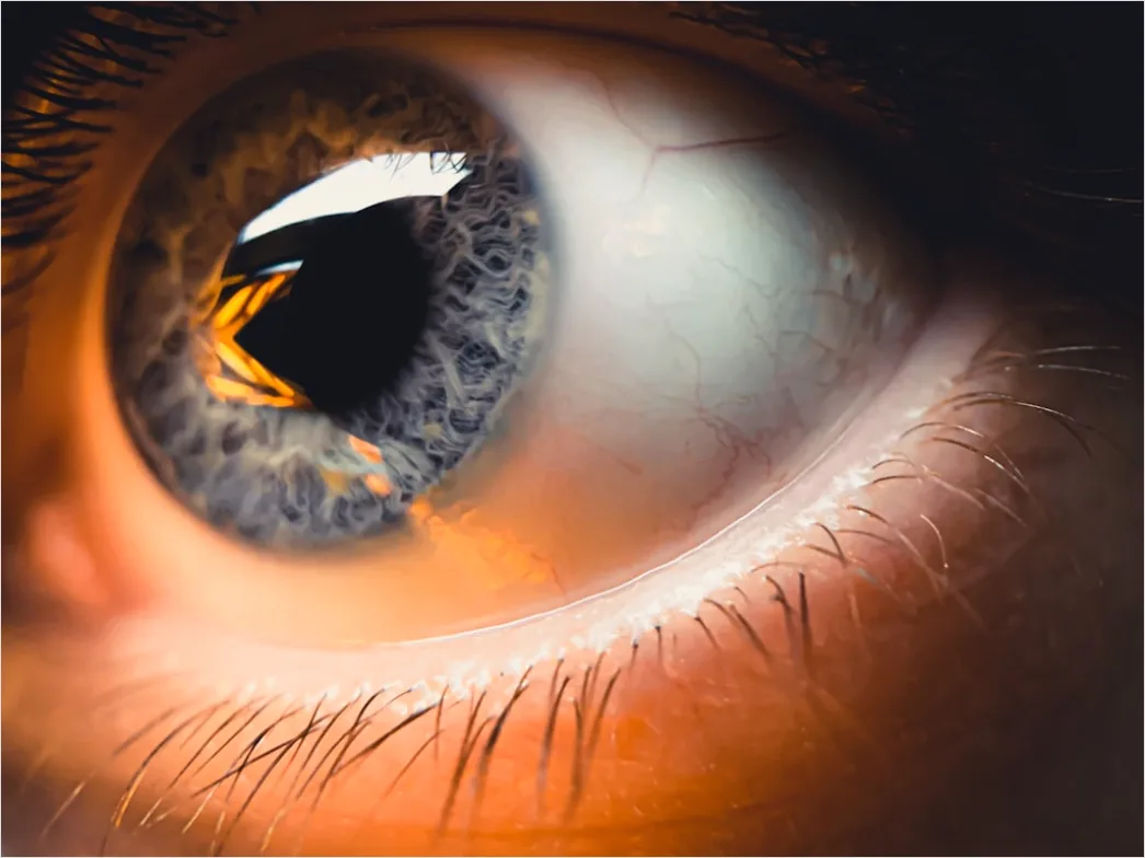 Detail Auge Makro Nahaufnahme Iris Detail Number 16