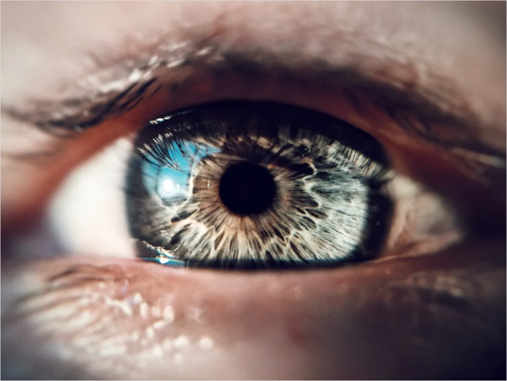 Detail Auge Makro Nahaufnahme Iris Detail Number 17