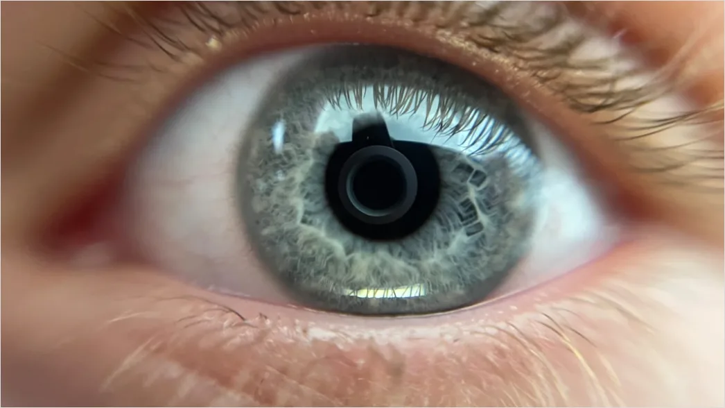 Detail Auge Makro Nahaufnahme Iris Detail Number 18