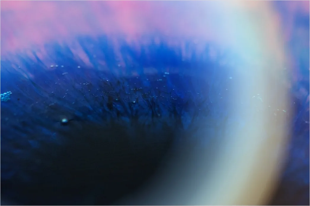 Detail Auge Makro Nahaufnahme Iris Detail Number 19