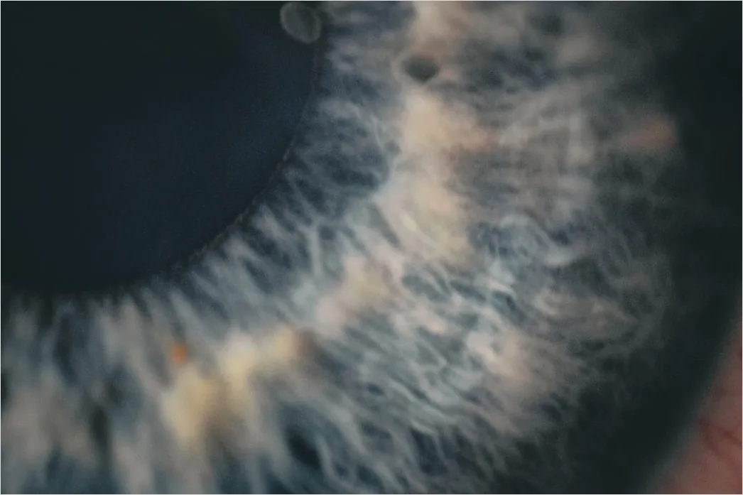 Detail Auge Makro Nahaufnahme Iris Detail Number 20