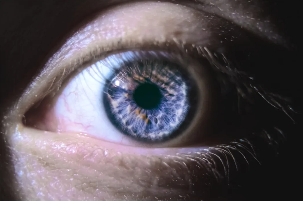Detail Auge Makro Nahaufnahme Iris Detail Number 7