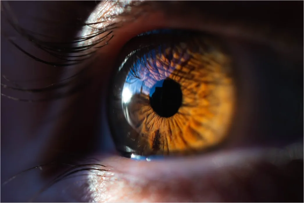Detail Auge Makro Nahaufnahme Iris Detail Number 9