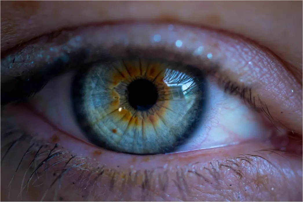 Detail Auge Makro Nahaufnahme Iris Detail Number 10