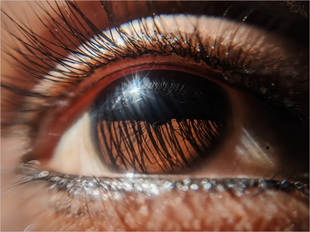 Detail Auge Makro Nahaufnahme Wimpern Bokeh Number 15