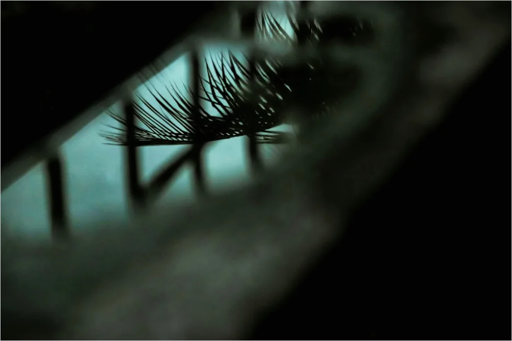 Detail Auge Makro Nahaufnahme Wimpern Bokeh Number 18