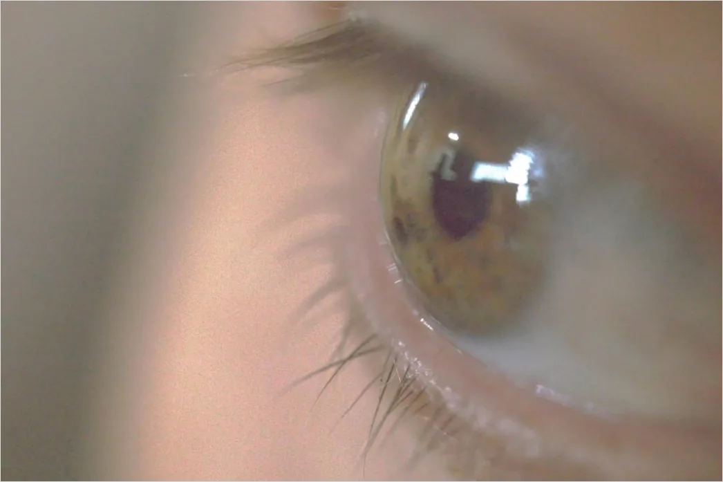 Detail Auge Makro Nahaufnahme Wimpern Bokeh Number 4