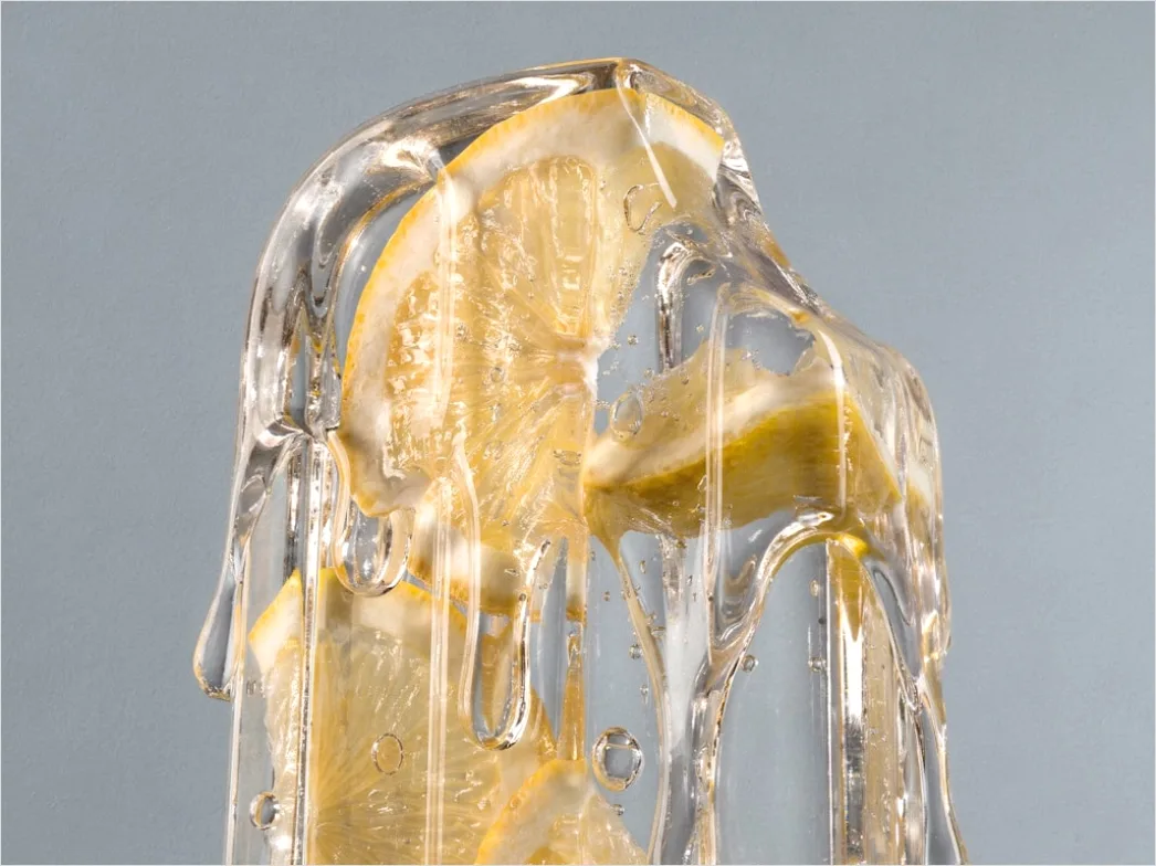 Detail Austern Frisch Eis Zitrone Nahaufnahme Number 2