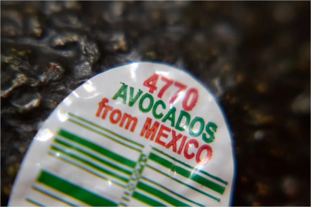 Detail Avocado Salat Teller Nahaufnahme Frisch Number 17