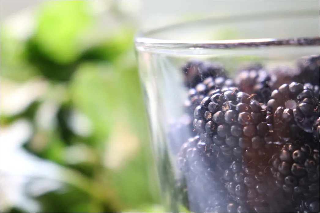 Detail Beeren Smoothie Glas Strohhalm Nahaufnahme Number 19