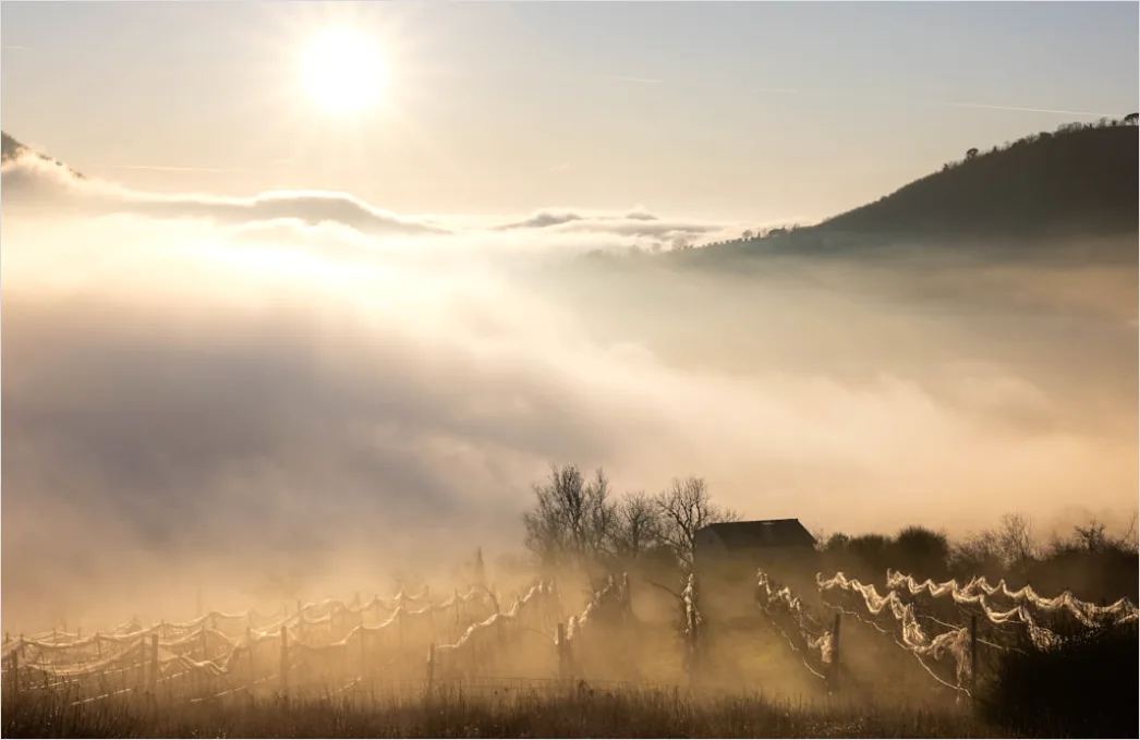 Detail Berglandschaft Sonnenaufgang Nebel Dramatisch Number 20