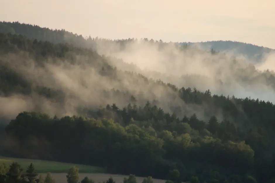 Bergtal Nebel Morgen Stimmungsvoll 63d7