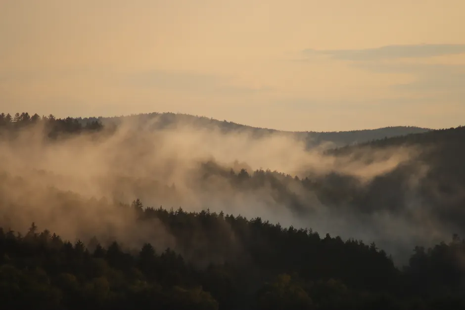 Detail Bergtal Nebel Morgen Stimmungsvoll Number 2