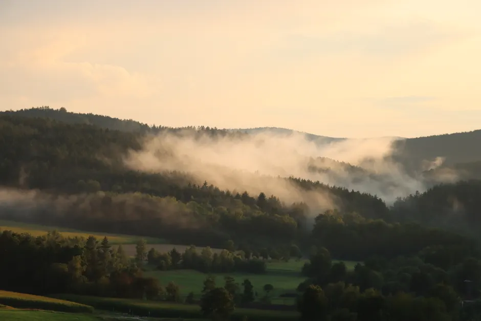 Detail Bergtal Nebel Morgen Stimmungsvoll Number 11