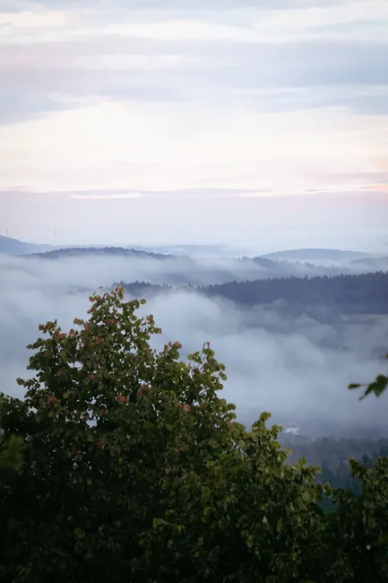 Detail Bergtal Nebel Morgen Stimmungsvoll Number 13