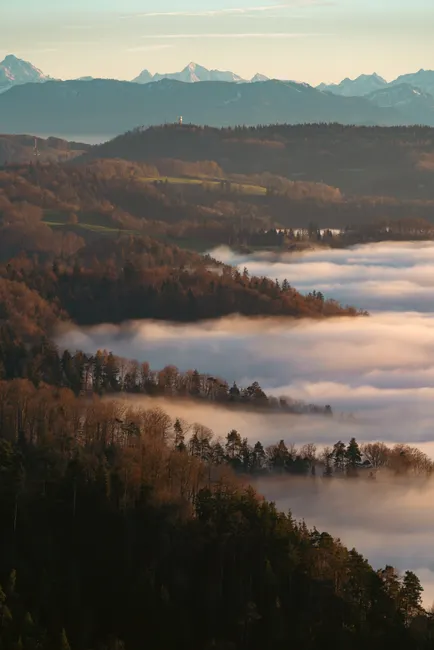 Detail Bergtal Nebel Morgen Stimmungsvoll Number 16