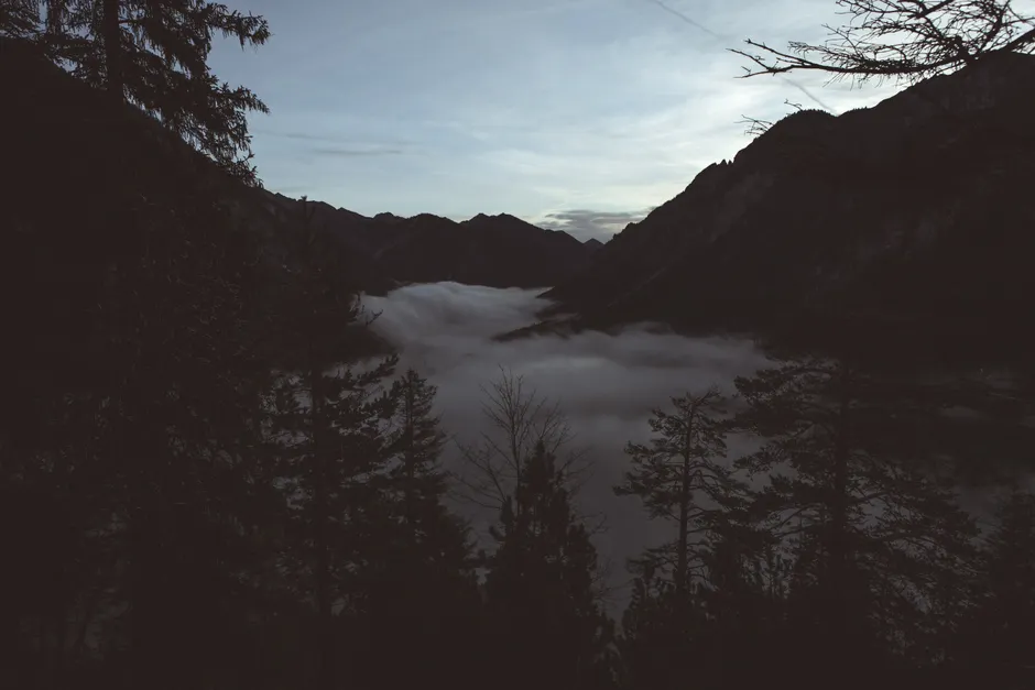 Detail Bergtal Nebel Morgen Stimmungsvoll Number 18