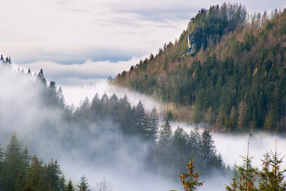 Detail Bergtal Nebel Morgen Stimmungsvoll Number 20