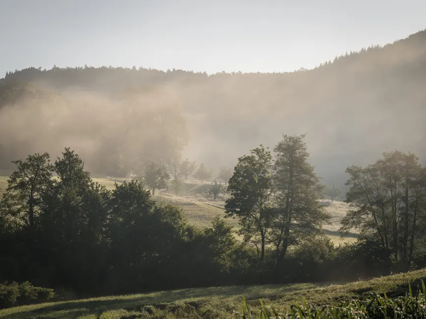 Detail Bergtal Nebel Morgen Stimmungsvoll Number 4